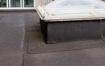 disadvantages of West Howe flat roofs